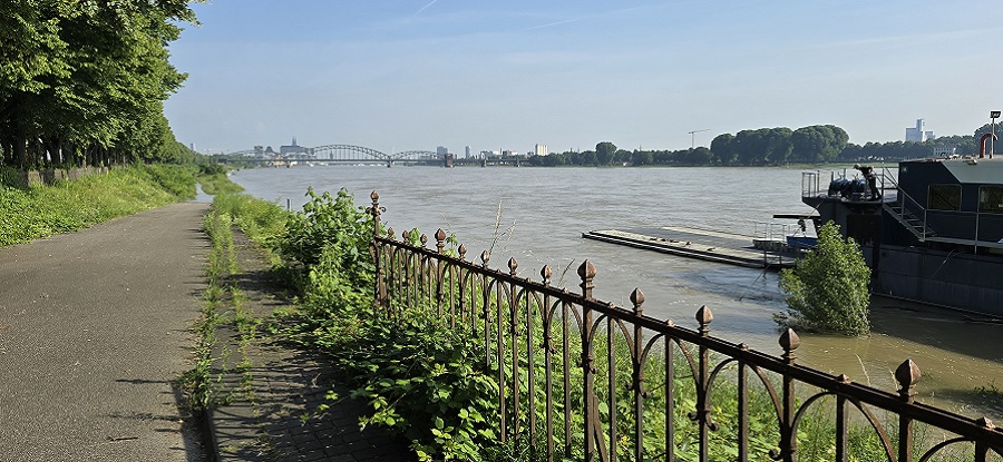 Am Rhein